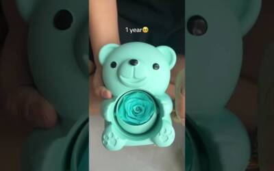 Best Gifts for Her 2024 (Valentine’s Day, Anniversary, Birthday) #ytshorts #youtubeshorts #viral