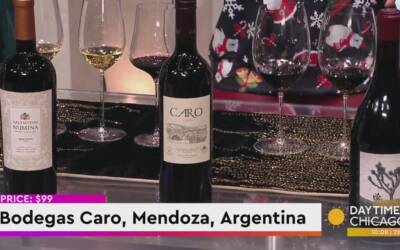 The Best Gifts For Wine Lovers