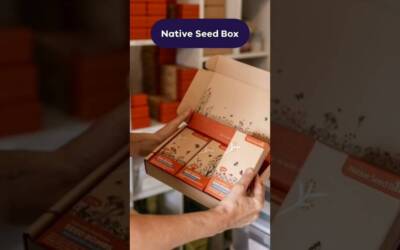 🎁 (2024 Christmas Gift Guide) The best Gift for Gardeners