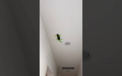 BEST GIFT IDEA OF 2024! 🎁 #amazonfinds #giftideas #holidaygifts #christmas #shorts