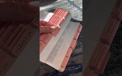 #unboxing my new Bible & Bible tabs! π€© #christiancontent #christiancommunity #bible #amazonhaul